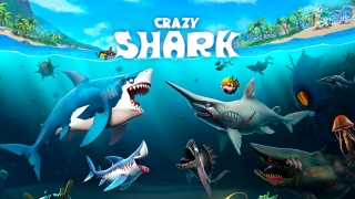 Play Crazy Shark now!