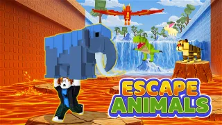 Play Escape Animals now!