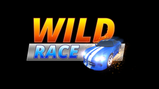 Play Wild Race now!